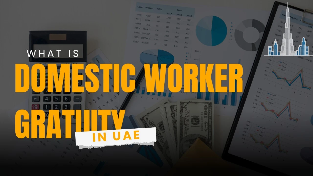 What is Domestic Worker Gratuity?